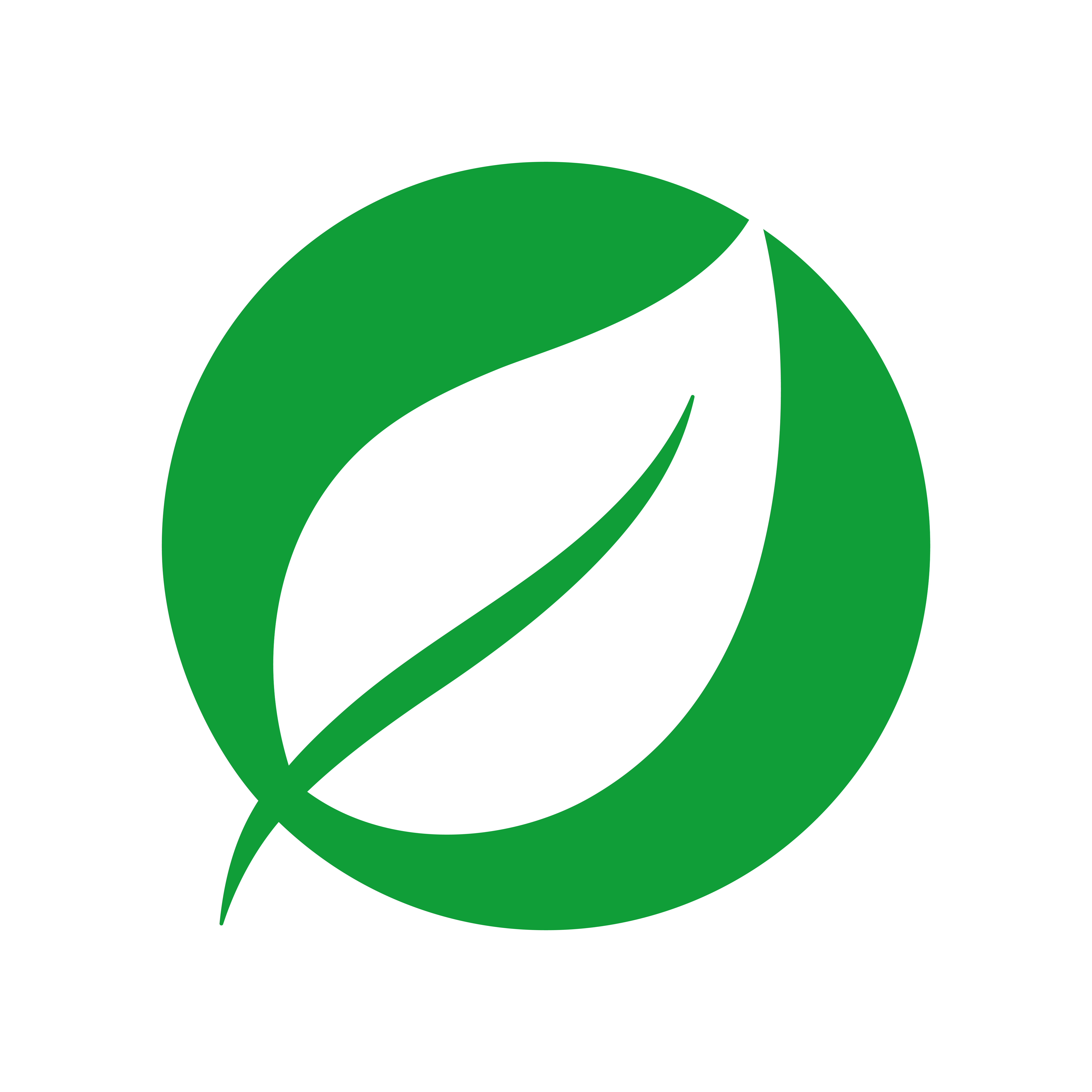 Зелено листо ЕКОФА лого